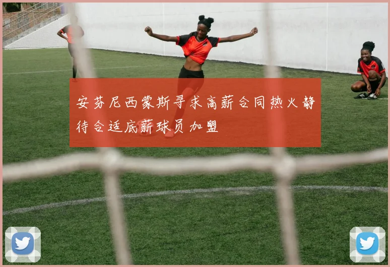 安芬尼西蒙斯寻求高薪合同热火静待合适底薪球员加盟